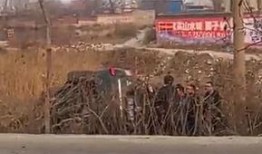 沙河村最新爆料,揭秘乡村发展背后的故事