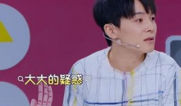 明星大爆料最新今天,今日热点事件深度解析