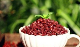 红小豆爆料视频大全最新,揭秘娱乐圈幕后真相